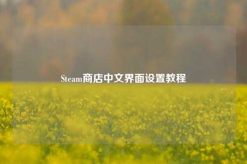 Steam商店中文界面设置教程