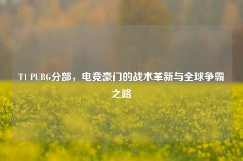 T1 PUBG分部,电竞豪门的战术革新与全球争霸之路