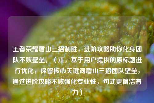 王者荣耀盾山三招制胜,进阶攻略助你化身团队不败壁垒,(注,基于用户提供的原标题进行优化,保留核心关键词盾山三招团队壁垒,通过进阶攻略不败强化专业性,句式更简洁有力)