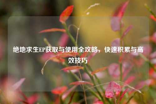 绝地求生EP获取与使用全攻略,快速积累与高效技巧