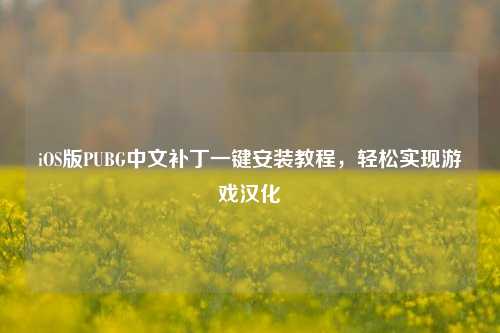 iOS版PUBG中文补丁一键安装教程,轻松实现游戏汉化