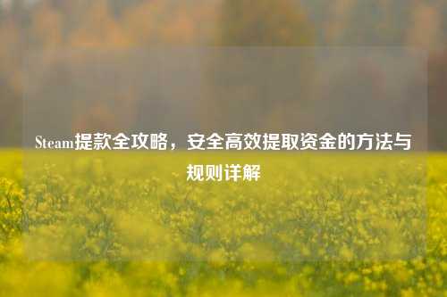 Steam提款全攻略,安全高效提取资金的 与规则详解