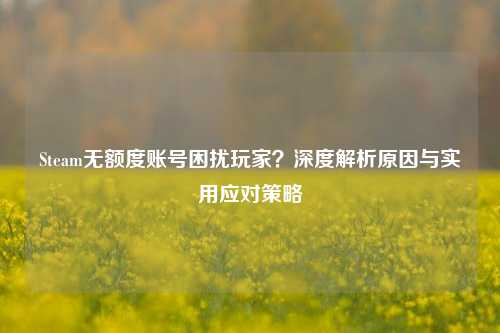Steam无额度账号困扰玩家?深度解析原因与实用应对策略