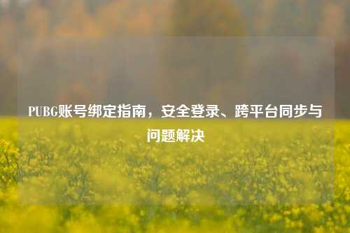 PUBG账号绑定指南,安全登录、跨平台同步与问题解决