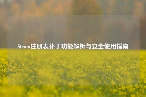 Steam注册表补丁功能解析与安全使用指南