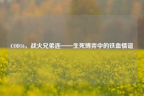 COD16,战火兄弟连——生死博弈中的铁血情谊