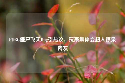 PUBG僵尸飞天Bug引热议,玩家集体变超人惊呆网友