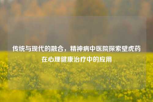 传统与现代的融合,精神病中医院探索壁虎药在心理健康治疗中的应用