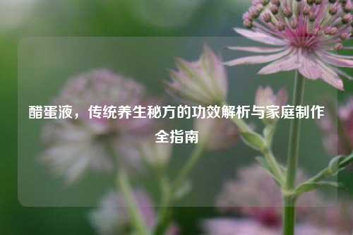 醋蛋液,传统养生秘方的功效解析与家庭 全指南