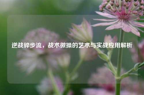 逆战碎步流,战术微操的艺术与实战应用解析