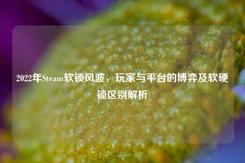 2022年Steam软锁风波,玩家与平台的博弈及软硬锁区别解析