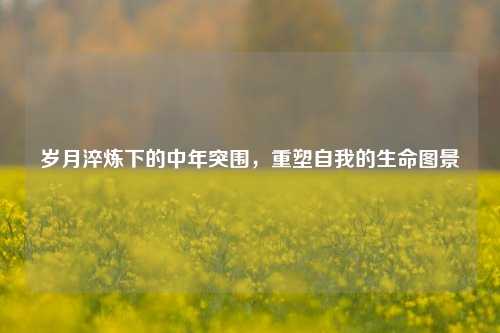岁月淬炼下的中年突围,重塑自我的生命图景