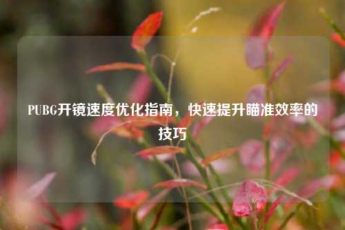 PUBG开镜速度优化指南,快速提升瞄准效率的技巧