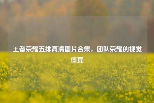 王者荣耀五排高清图片合集,团队荣耀的视觉盛宴