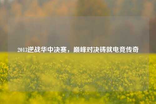 2013逆战华中决赛,巅峰对决铸就电竞传奇