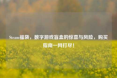 Steam福袋,数字游戏盲盒的惊喜与风险,购买指南一网打尽!