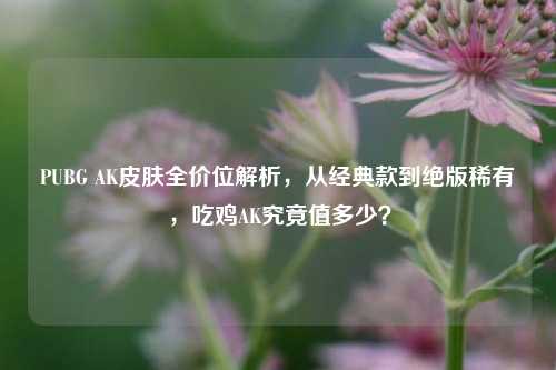 PUBG AK皮肤全价位解析,从经典款到绝版稀有,吃鸡AK究竟值多少?