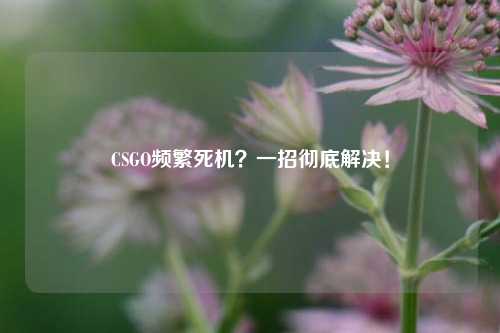 CSGO频繁死机?一招彻底解决!