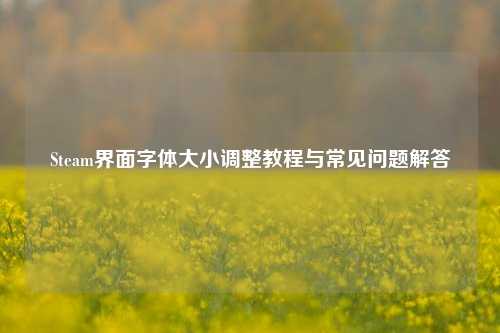 Steam界面字体大小调整教程与常见问题解答