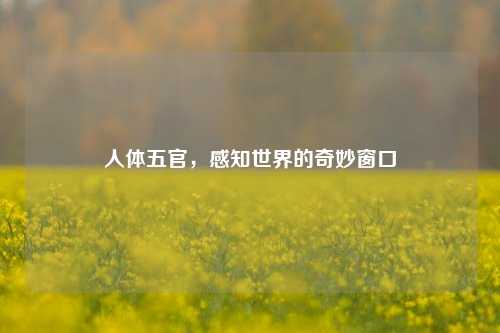 人体五官,感知世界的奇妙窗口