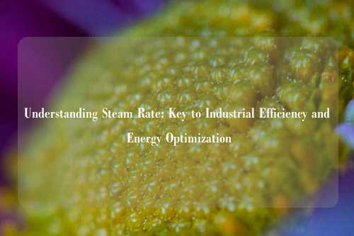 Understanding Steam Rate: Key to Industrial Efficiency and Energy Optimization