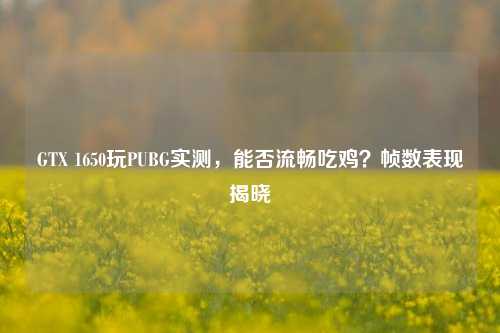 GTX 1650玩PUBG实测,能否流畅吃鸡?帧数表现揭晓