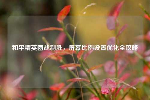 和平精英团战制胜,屏幕比例设置优化全攻略