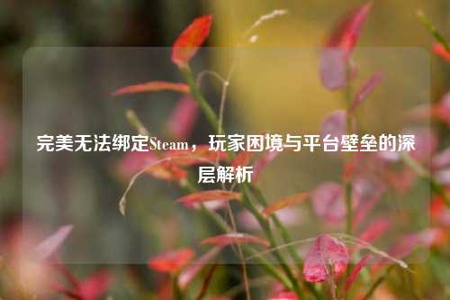 完美无法绑定Steam,玩家困境与平台壁垒的深层解析