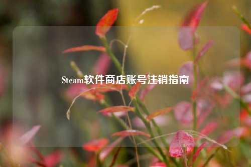 Steam软件商店账号注销指南