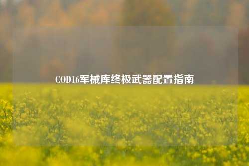 COD16军械库终极武器配置指南