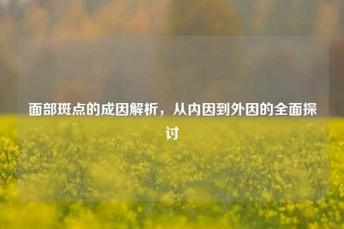 面部斑点的成因解析,从内因到外因的全面探讨