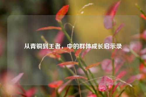 从青铜到王者,中的群体成长启示录