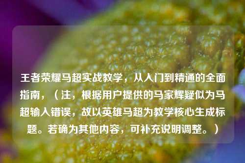 王者荣耀马超实战教学,从入门到精通的全面指南,(注,根据用户提供的马家辉疑似为马超输入错误,故以英雄马超为教学核心生成标题。若确为其他内容,可补充说明调整。)