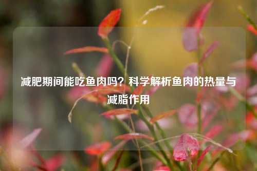 减肥期间能吃鱼肉吗?科学解析鱼肉的热量与减脂作用