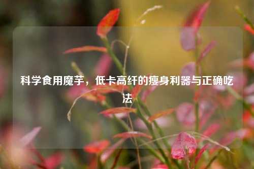 科学食用魔芋,低卡高纤的瘦身利器与正确吃法