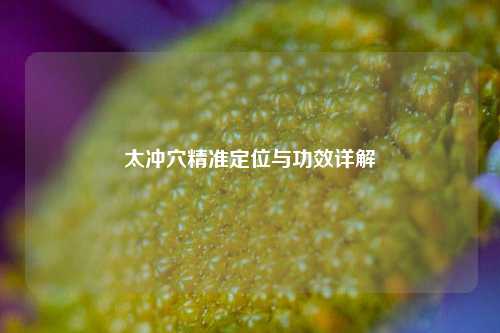 太冲穴精准定位与功效详解