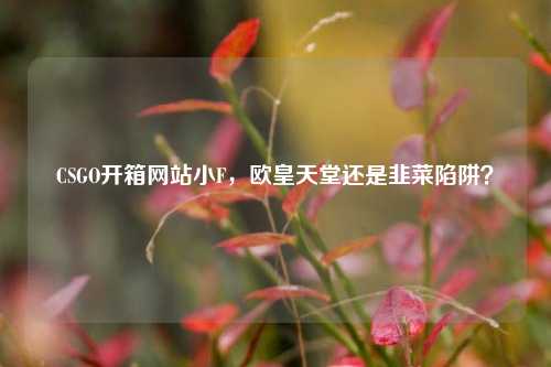 CSGO开箱网站小F,欧皇天堂还是韭菜陷阱?