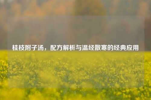 桂枝附子汤,配方解析与温经散寒的经典应用