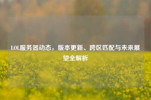 LOL服务器动态,版本更新、跨区匹配与未来展望全解析