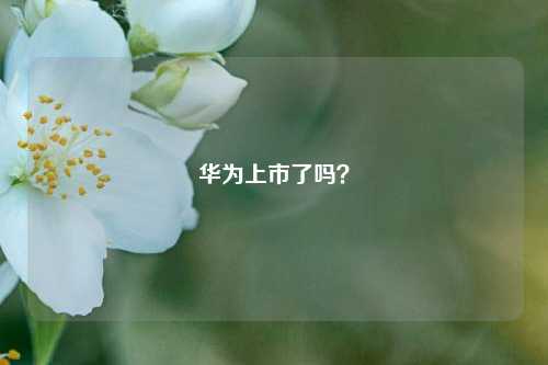 华为上市了吗?