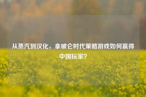 从蒸汽到汉化,拿破仑时代策略游戏如何赢得中国玩家?