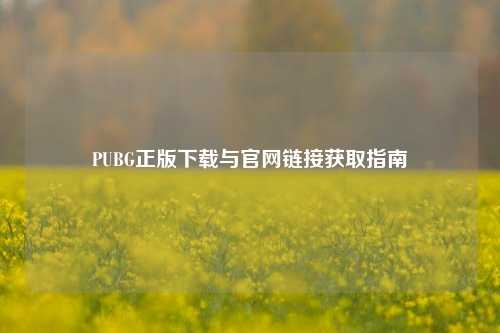 PUBG正版下载与官网链接获取指南