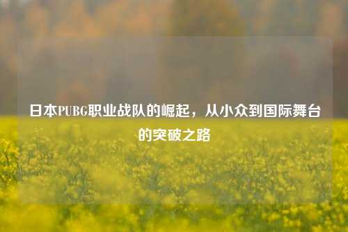 日本PUBG职业战队的崛起,从小众到国际舞台的突破之路
