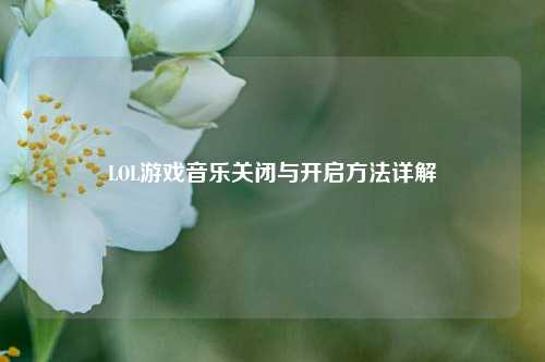 LOL游戏音乐关闭与开启 详解