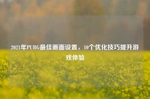 2021年PUBG更佳画面设置,10个优化技巧提升游戏体验