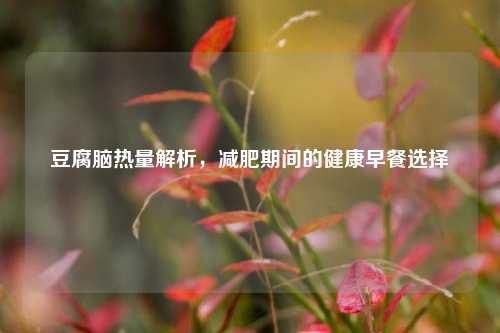豆腐脑热量解析,减肥期间的健康早餐选择
