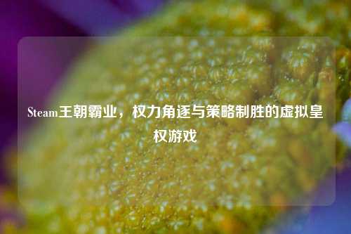 Steam王朝霸业,权力角逐与策略制胜的虚拟皇权游戏