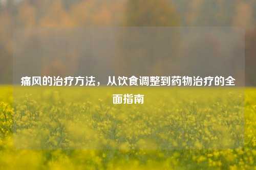 痛风的治疗 ,从饮食调整到药物治疗的全面指南