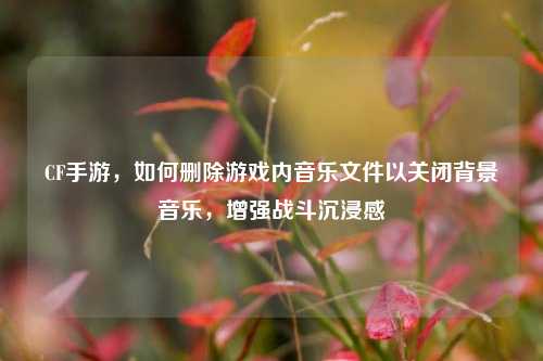 CF手游,如何删除游戏内音乐文件以关闭背景音乐,增强战斗沉浸感