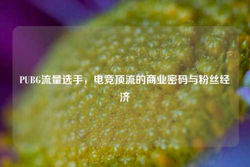 PUBG流量选手,电竞顶流的商业密码与粉丝经济
